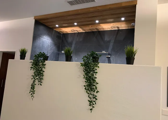 51度温泉理疗酒店&spa 4* 洛伊克巴德